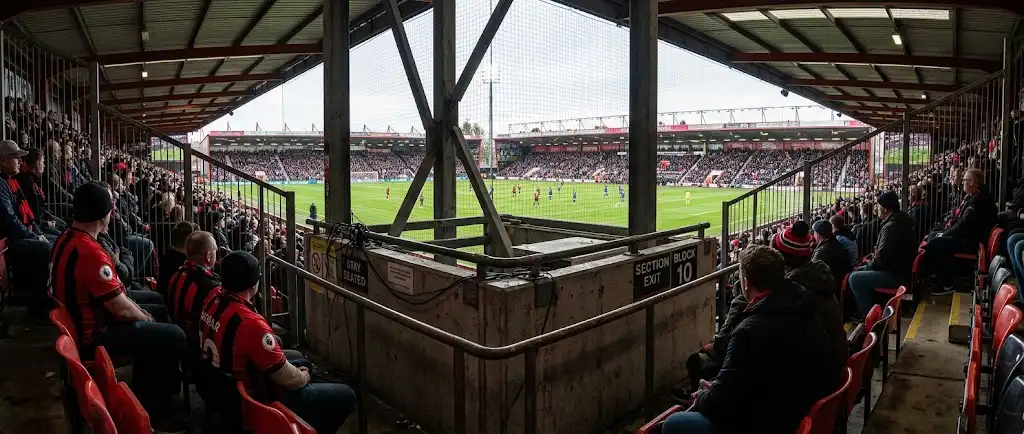 Slechtste zitplaatsen in het Vitality Stadium background image